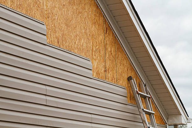 Affordable Siding Repair and Maintenance Services in Gibraltar, MI